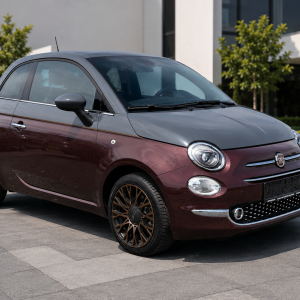 FIAT 500 Colezzione / 2019 / euro 6 / 45.000 km